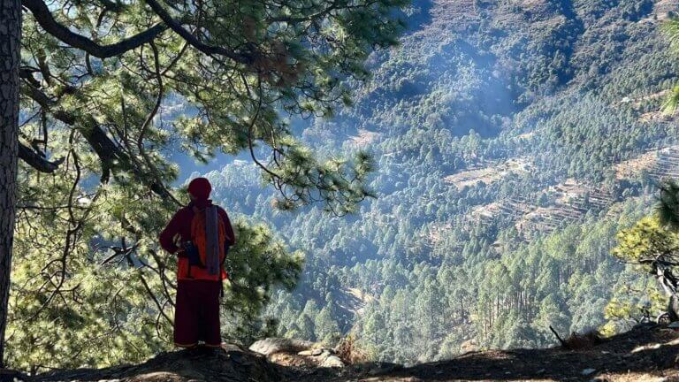 Read more about the article Mahavatar Babaji’s Cave